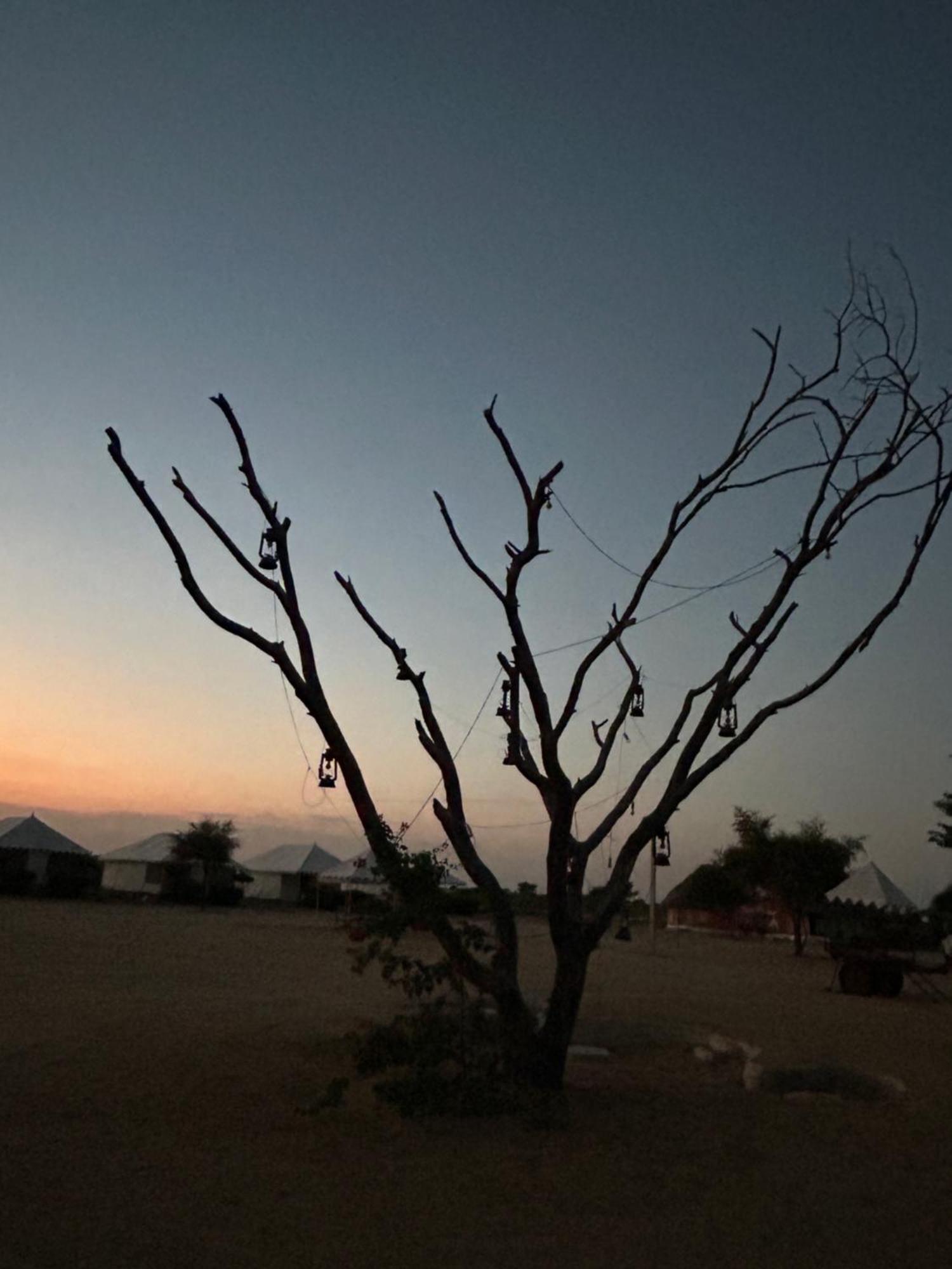 Sunny Desert Camp Kuri Exterior photo
